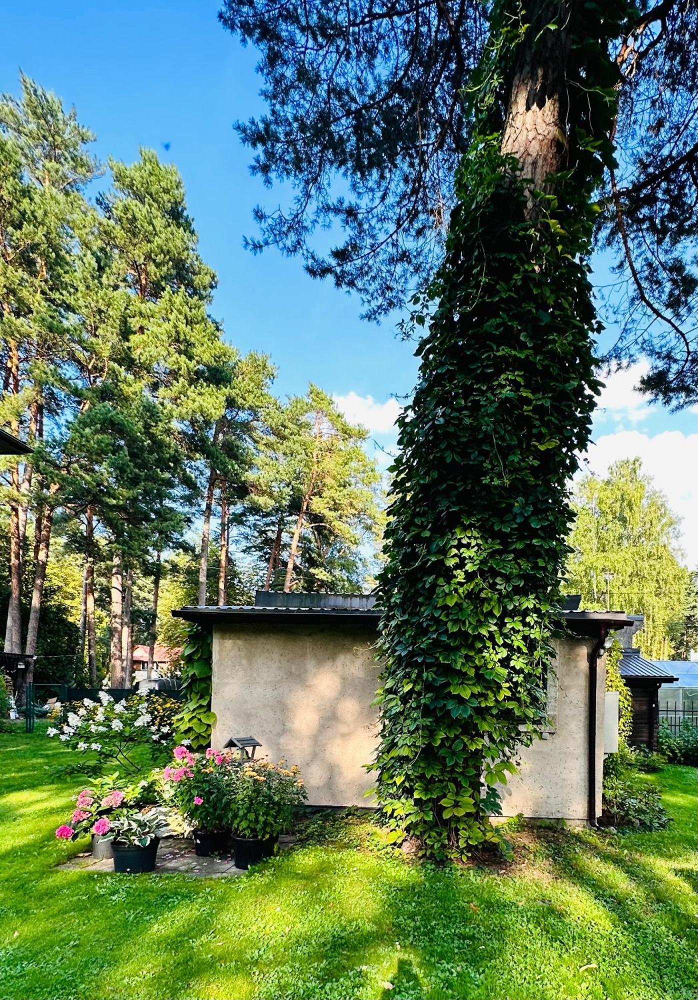 Apartment Baltic Sea Jurmala
